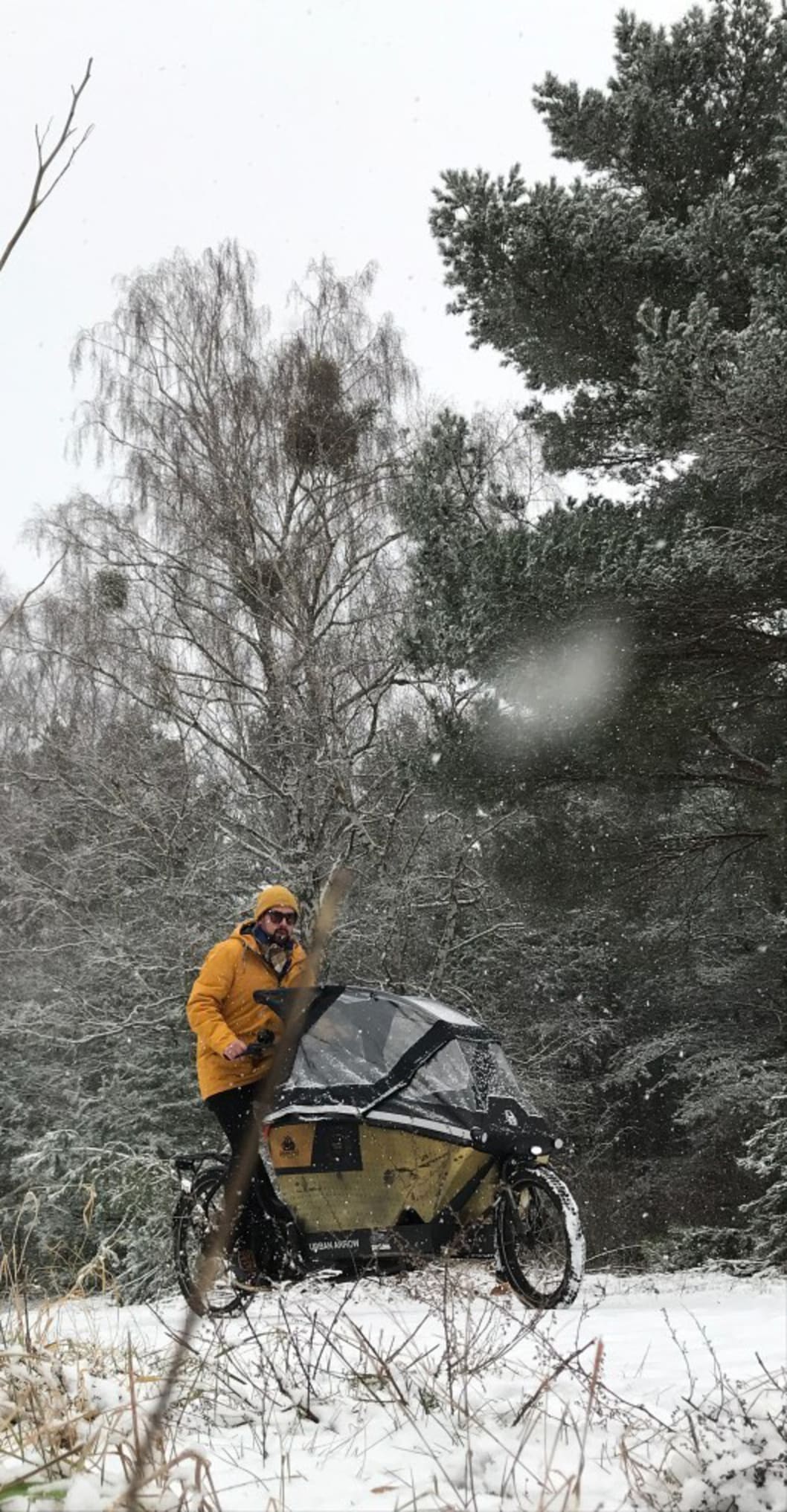 Winter online cargo bike